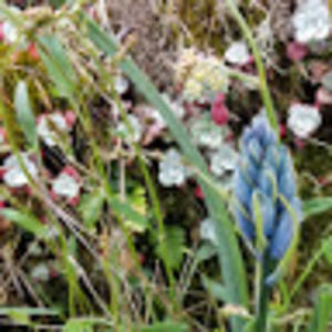 Meet your Posher, Robin